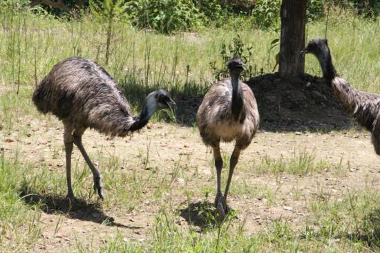 1749215525589750.png image.png