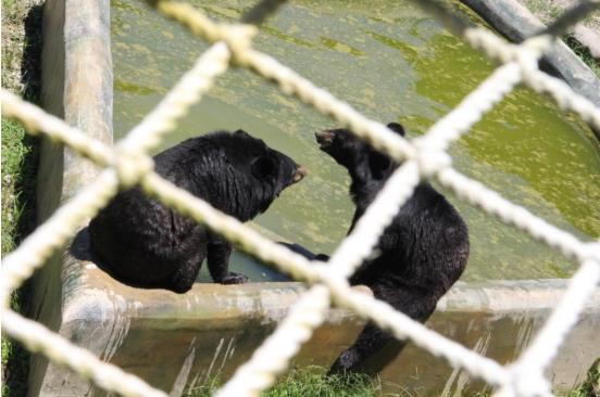 1749215527110570.png image.png