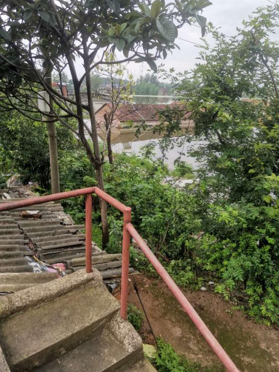 1749215729263182.png image.png